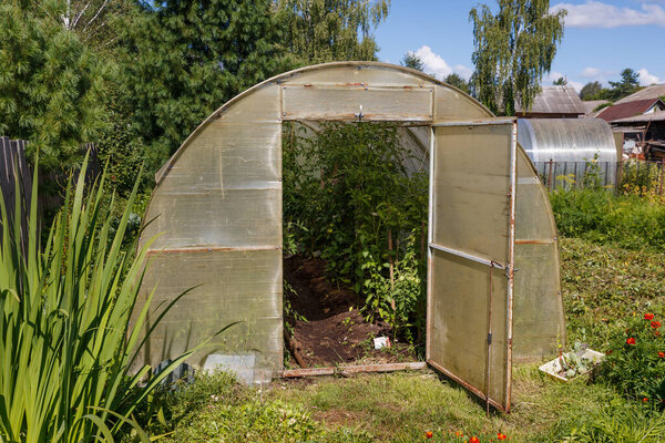 Greenhouse for tomatoes in the garden.