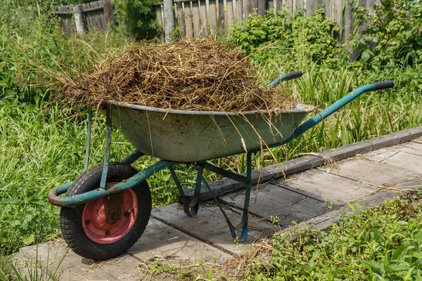Košík s přírodním kravským hnojem — Stock fotografie