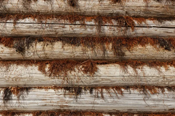 Houten huismuur — Stockfoto