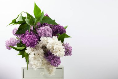 Eflatun çiçekler vazoda beyaz arka plan