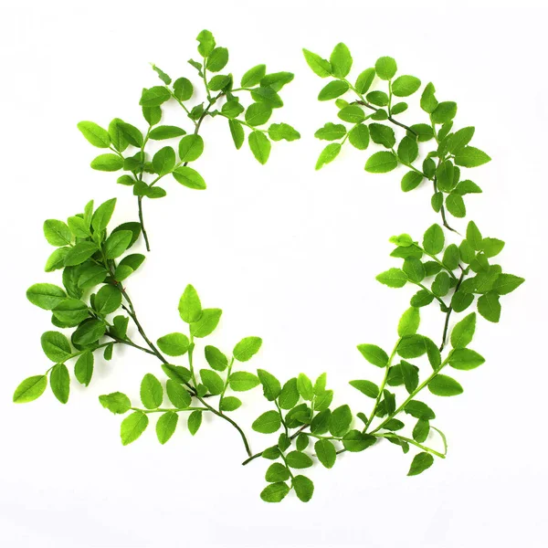 Grüner runder Rahmen mit kleinen Blättern auf weißem Hintergrund. flache Lage — Stockfoto