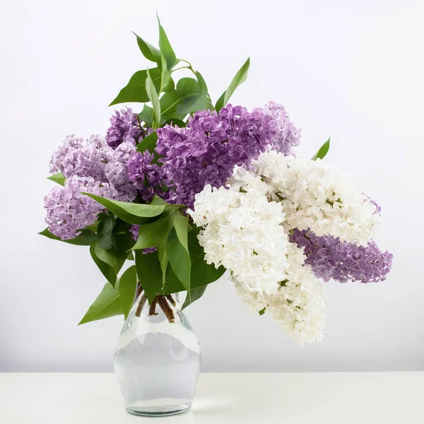 Flores lila en jarrón sobre fondo blanco — Foto de Stock
