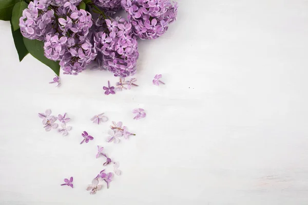 Piękny liliowy na jasnym tle drewnianych — Zdjęcie stockowe