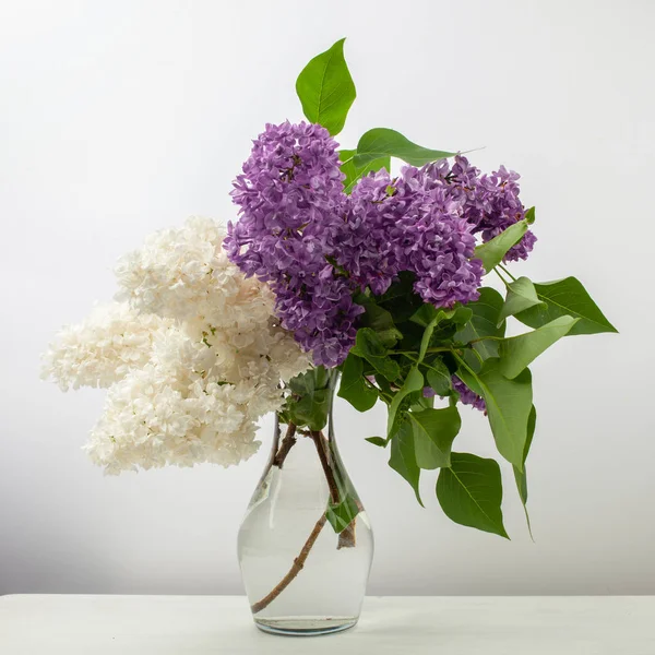 Lilac flowers in vase against white background — Stock Photo, Image