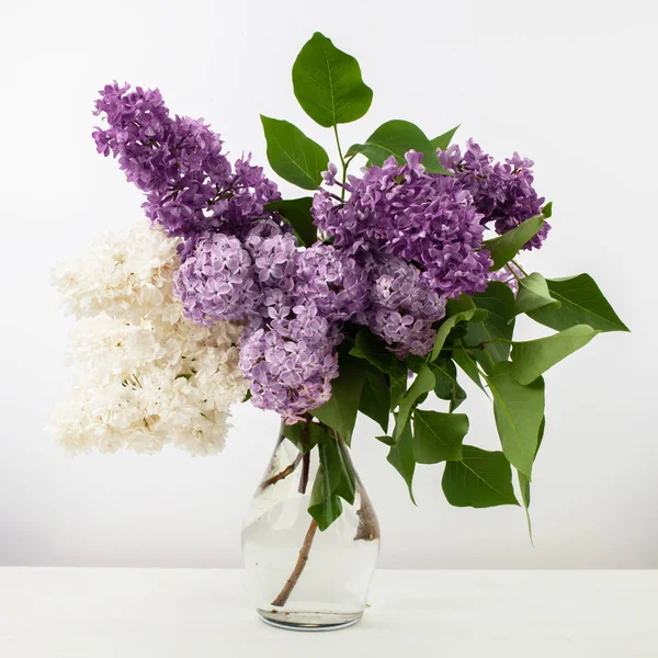 白い背景に、花瓶にライラックの花 — ストック写真