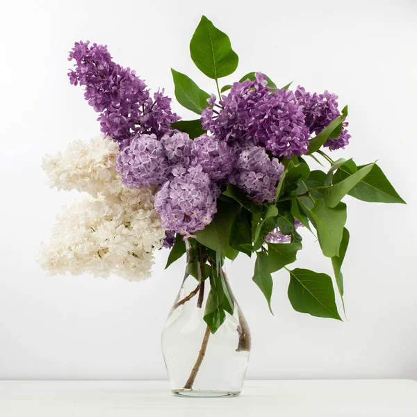 Lilac flowers in vase against white background — Stock Photo, Image