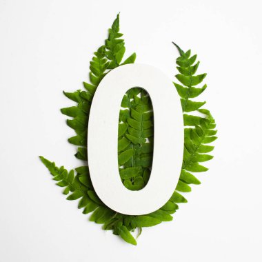 Çiçek numarası sıfır. Güzel yeşil yaprakları ve fern yeşillik numaraları.