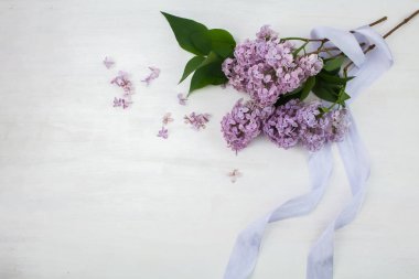 Parlak ahşap arka plan üzerinde güzel leylak