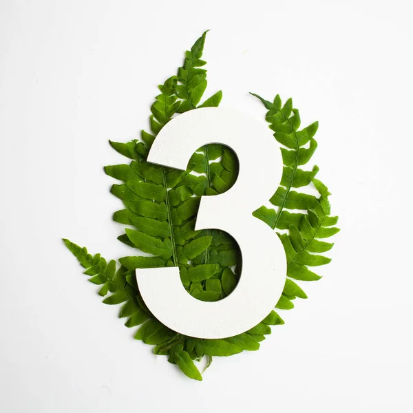Blommig nummer tre. Vackra gröna blad och fern lövverk siffror. — Stockfoto