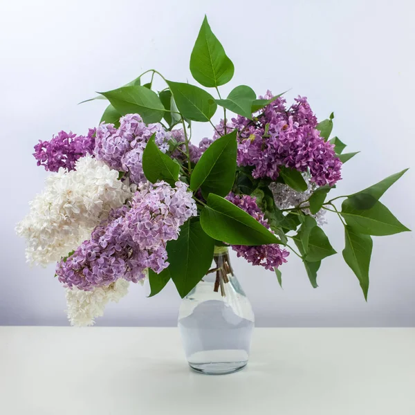 Lilac flowers in vase against white background — Stock Photo, Image