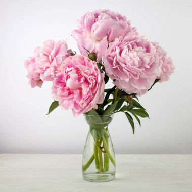 Açık renkli güzel pembe Peonie çiçek