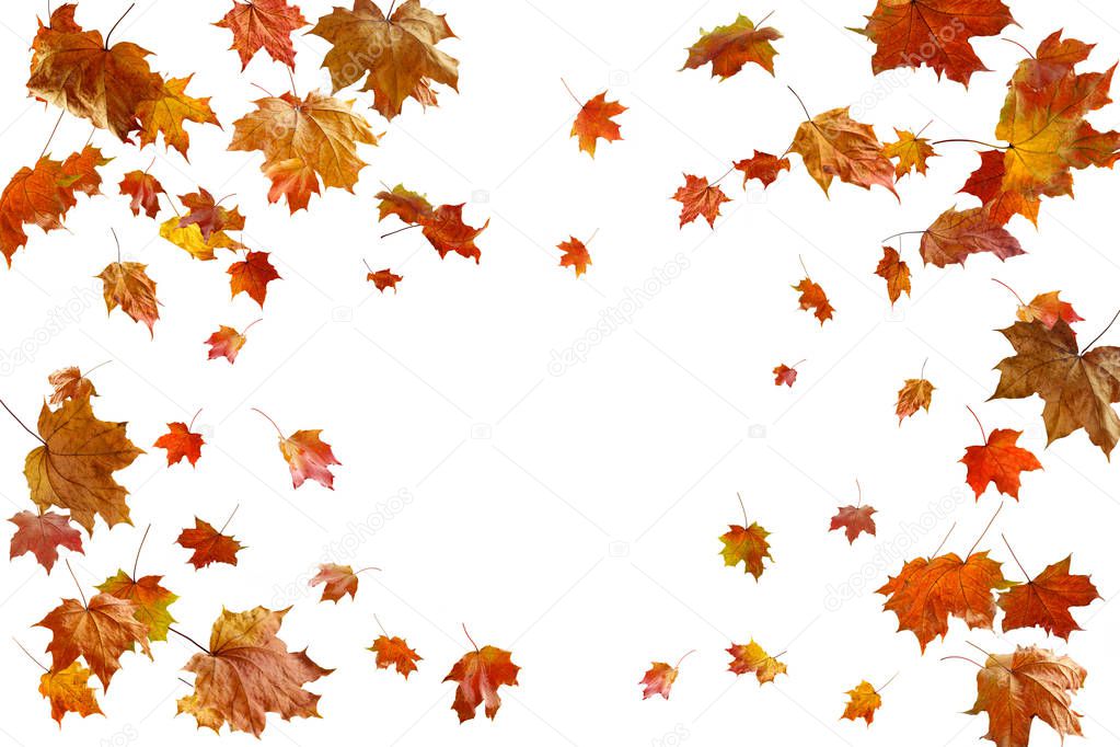 border frame of colorful autumn leaves isolated on white