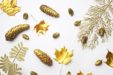 Sonbahar kompozisyon. Kuzey Afrika Sonbahar, altın yapılan çerçeve ışık gri arka plan üzerinde bırakır. Düz yatıyordu, en iyi görünüm, kopya alanı