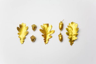 Altın meşe yaprağı ve ışık gri arka plan üzerinde meşe palamudu. Üstten görünüm