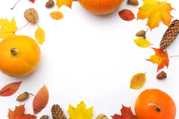 Herbstkomposition. Kürbisse, getrocknete Blätter auf weißem Hintergrund. Halloween-Konzept. flache Lage, Draufsicht, Kopierraum — Stockfoto