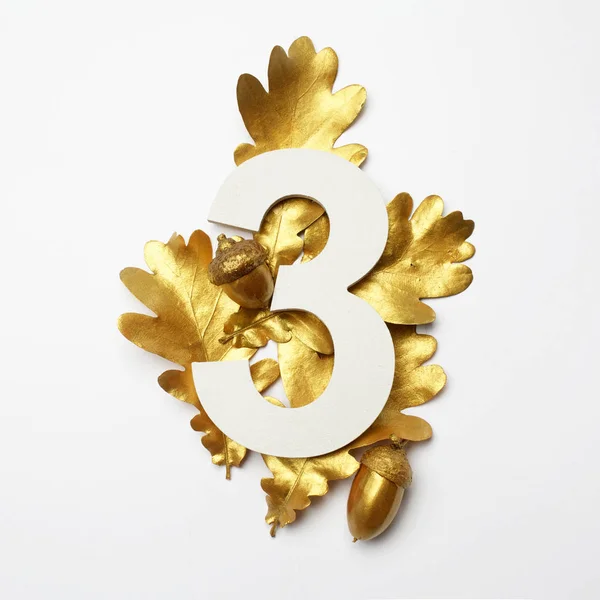 Goldene Eichenblätter und Nummer drei auf hellgrauem Hintergrund — Stockfoto