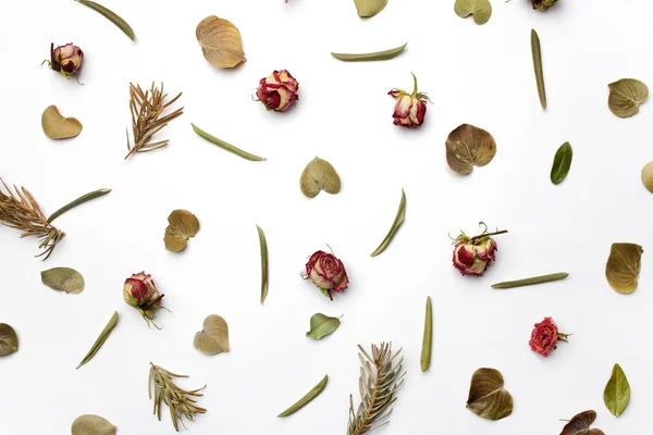 Fleurs sèches, branches, feuilles et pétales motif sur fond blanc. plan, vue aérienne — Photo