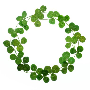 Yonca çerçeve, beyaz izole bırakır. Üstten Görünüm. Düz yatıyordu