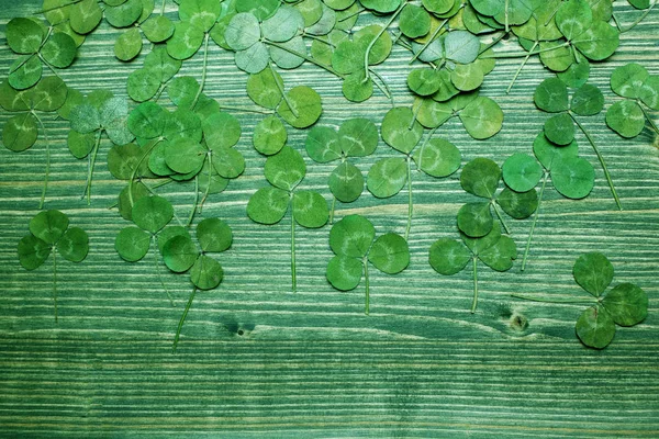 Green real clover leaf on wooden background. top view — Stock Photo, Image