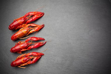 ıstakoz. Deniz ürünleri. Siyah bir arka plan üzerinde. Üst te. Metniniz için boş alan.