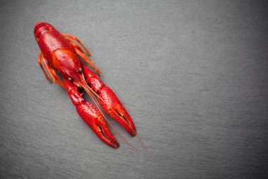 Siyah kayrak masada kırmızı pişmiş ıstakoz