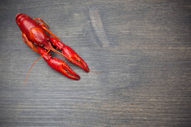 Siyah ahşap masa üzerinde kırmızı pişmiş ıstakoz