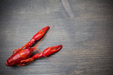 Siyah ahşap masa üzerinde kırmızı pişmiş ıstakoz