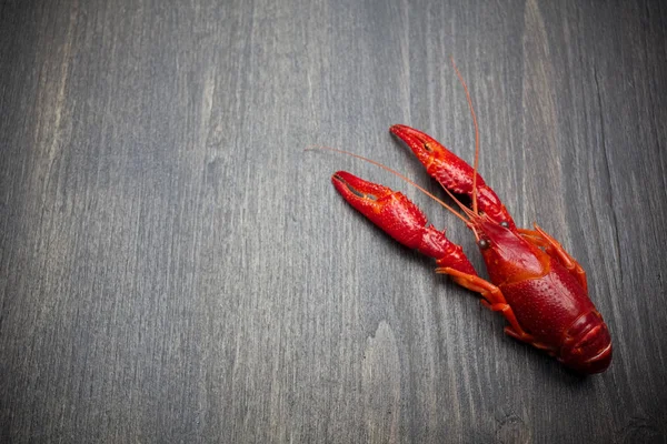 Rode gekookte kreeft op zwarte houten tafel — Stockfoto