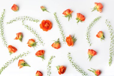 Çiçek desen beyaz arka plan üzerinde turuncu gülyapılmış. Düz yatıyordu, üstten bak. Anneler günü geçmişi. Çiçek deseni.
