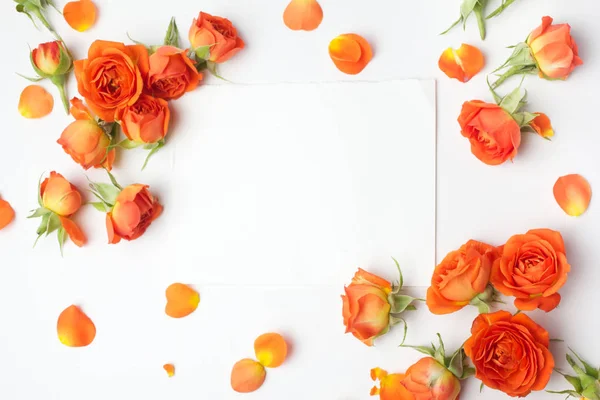 Πλαίσιο από πορτοκαλί τριαντάφυλλα σε λευκό φόντο. "Επίπεδη". Κορυφαία προβολή — Φωτογραφία Αρχείου