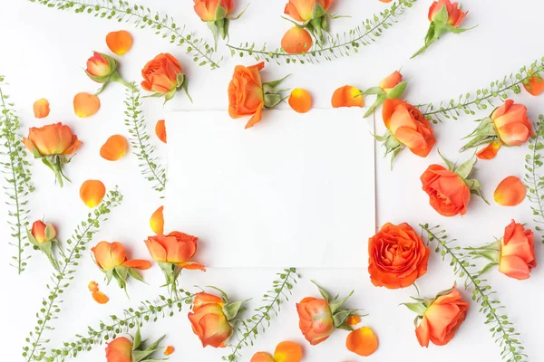 Ram från apelsin rosor på vit bakgrund. Flat Lay. Uppifrån och — Stockfoto