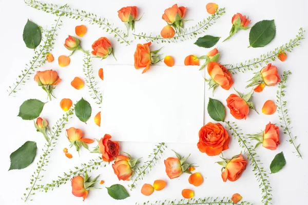 Ram från apelsin rosor på vit bakgrund. Flat Lay. Uppifrån och — Stockfoto