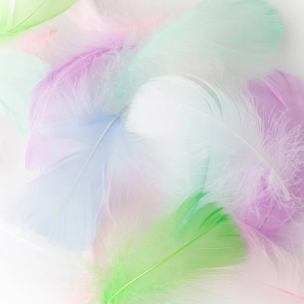 Fondo de retazos de arco iris de plumas abstracto. Imagen de primer plano. Tendencias de color de moda . —  Fotos de Stock