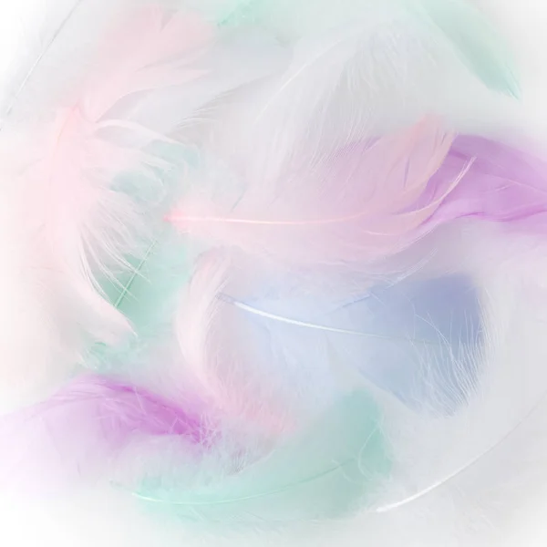 Fondo de retazos de arco iris de plumas abstracto. Imagen de primer plano. Tendencias de color de moda . — Foto de Stock