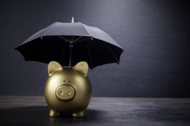 Finans sigortası, koruma, güvenli yatırım veya bankacılık için şemsiye konsepti ile altın Piggy Bankası