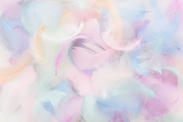 Abstract nackground with soft colorfull feathers. Flat lay — Stock Photo, Image