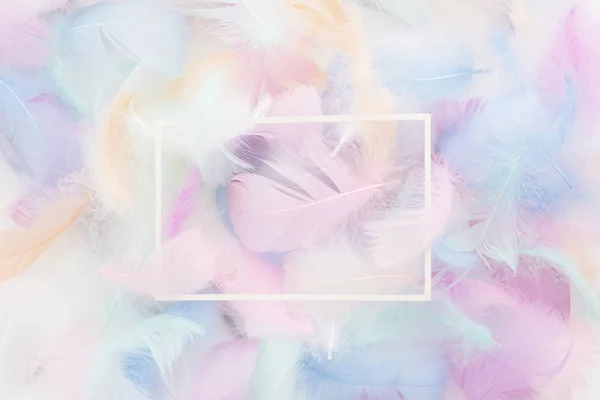 Abstract nackground with soft colorfull feathers and white frame. Flat lay — Stock Photo, Image