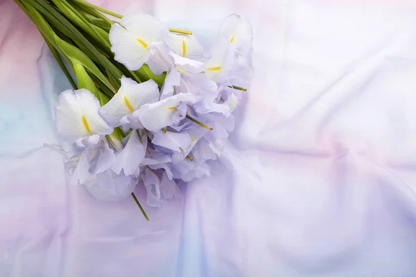 Lente natuur achtergrond met mooie iris bloemen — Stockfoto