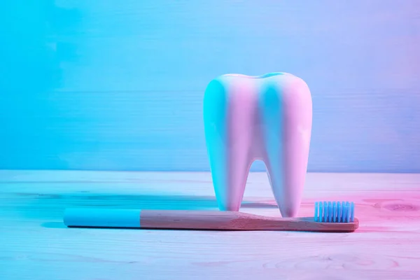Здоровая концепция зубов, зубная модель с зубной щеткой на голубом фоне . — стоковое фото