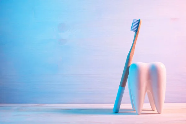 Здоровая концепция зубов, зубная модель с зубной щеткой на голубом фоне . — стоковое фото