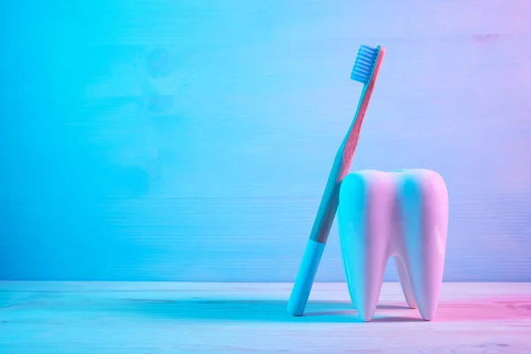 Concept de dents saines, modèle de dent avec brosse à dents sur fond bleu bois . — Photo