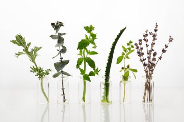 Beyaz arka plan üzerinde otlar ile uçucu yağ şişe