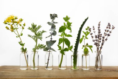 Beyaz arka plan önünde ahşap masada otlar ile uçucu yağ Şişesi