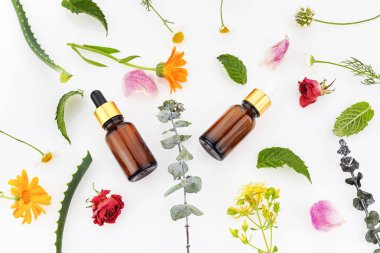 uçucu yağ ve otlar beyaz bir arka plan üzerinde. Üstte görüntü