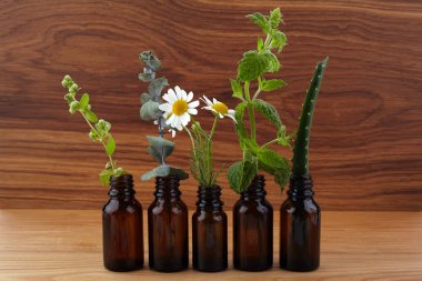 Kahverengi şişe taze otlar ile uçucu yağ