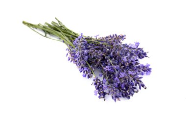 Lavanta çiçekleri beyaz arkaplanda izole edilmiş.