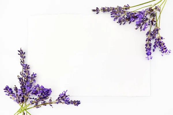 花の組成物。白い背景に新鮮なラベンダーの花で作られたフレーム。フラットレイ、トップビュー、コピースペース、正方形 — ストック写真