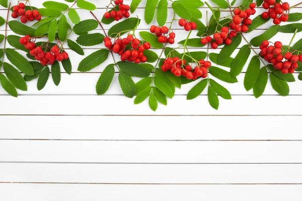 Cornice di Rowan rosso su sfondo bianco in legno. Posa piatta, vista dall'alto . — Foto Stock