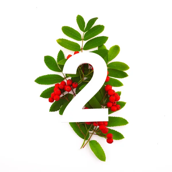 Nummer twee vorm met groene bladeren en rode Rowan bessen geïsoleerd op wit. Natuur concept. Platte lag. Top View — Stockfoto