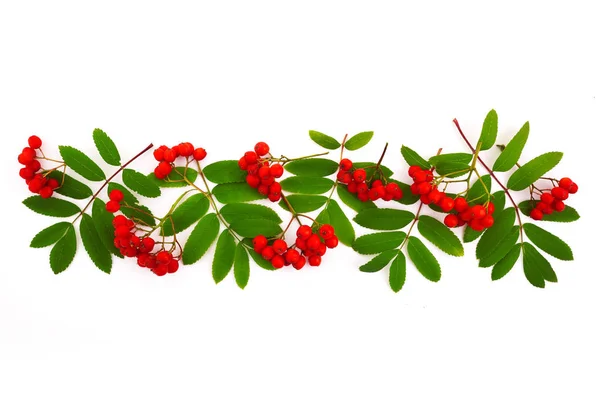 Frame made of rowan berries on white background. Autumn concept. Flat lay, top view, copy space — Stock Photo, Image